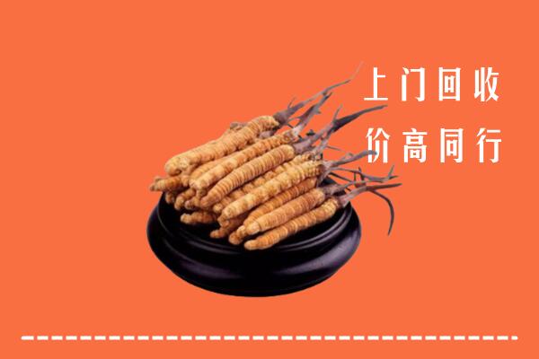 高价求购：垣曲县回收散虫草
