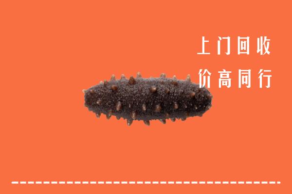 高价求购：垣曲县回收海参